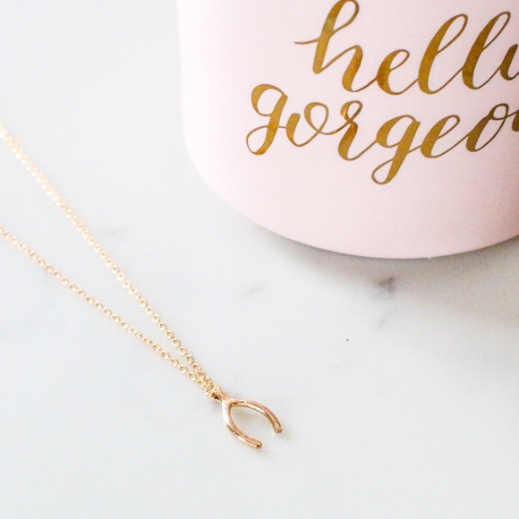 Dainty Silver Wishbone Necklace - Picture 5 of 7